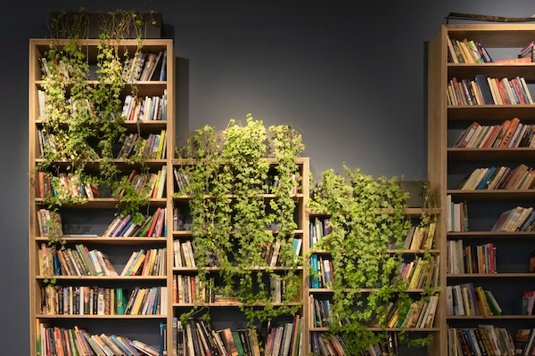 Book Shelves